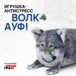 Сквиш Мемограм