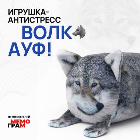 Сквиш Мемограм