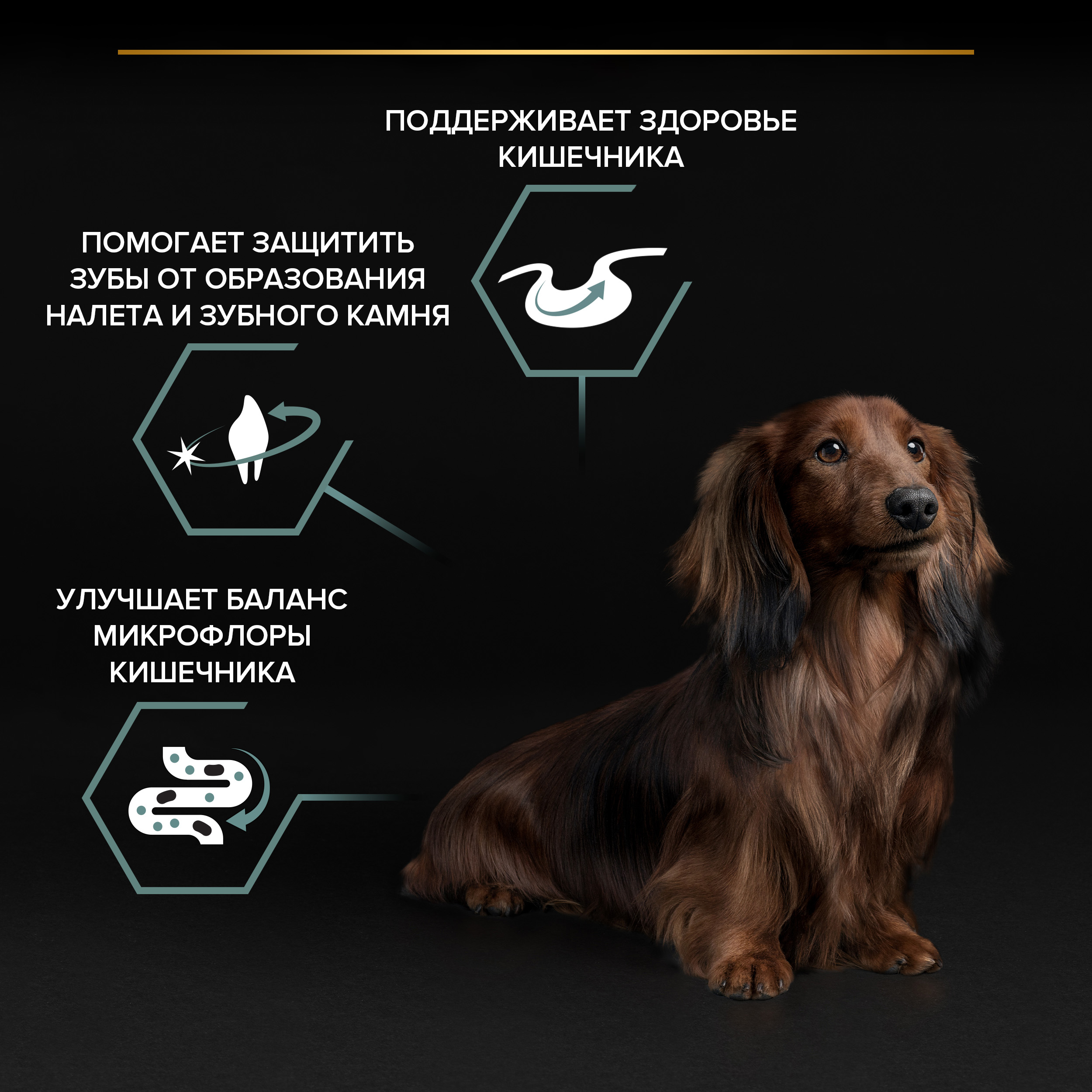 Корм для собак PRO PLAN мелких и миниатюрных пород с чувствительным пищеварением ягненок с рисом 700г - фото 5