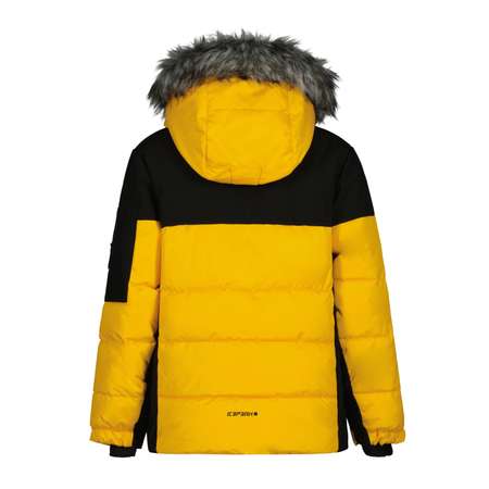 Куртка Icepeak