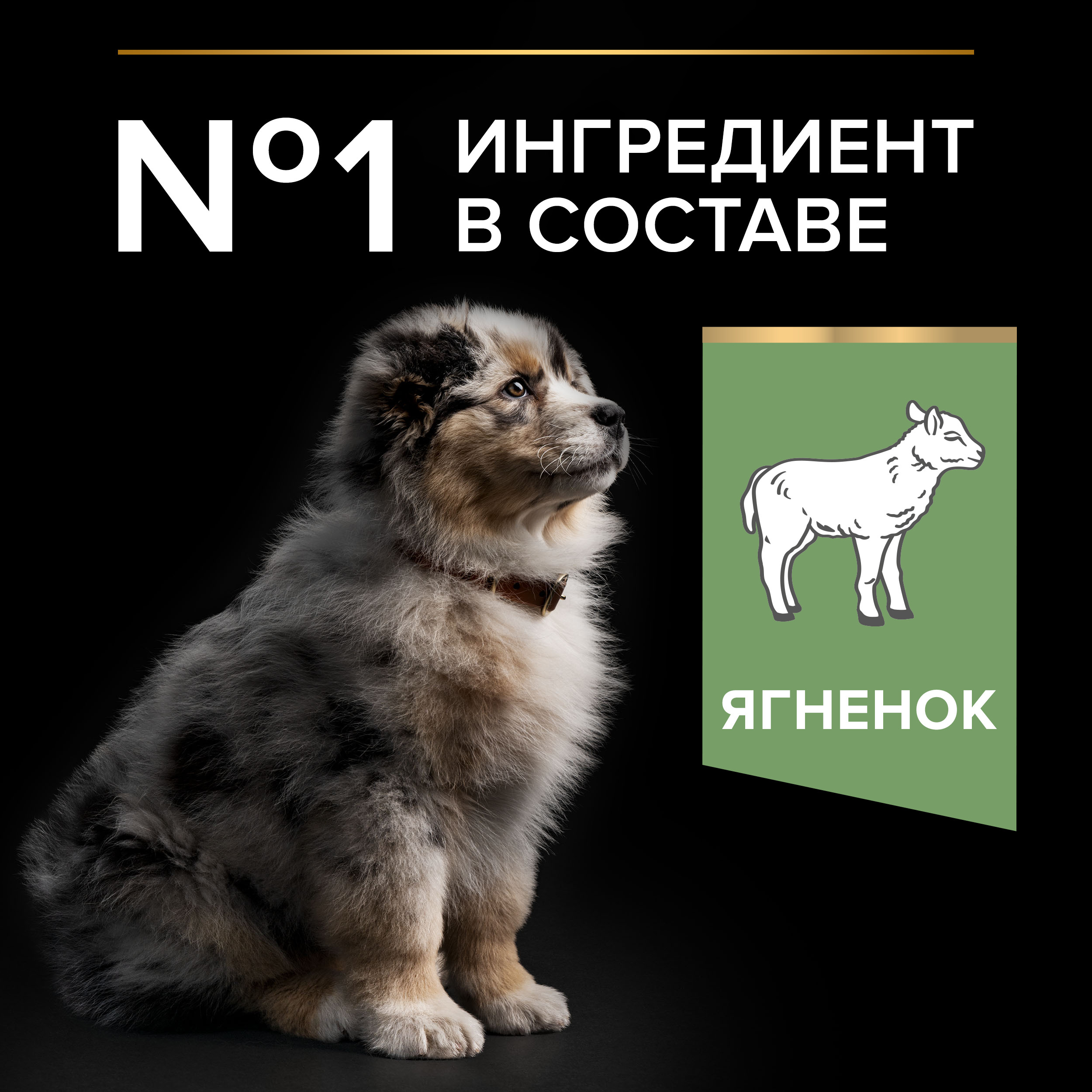 Корм сухой для щенков PRO PLAN SENSITIVE DIGESTION 1.5 кг с ягненком для средних пород - фото 7
