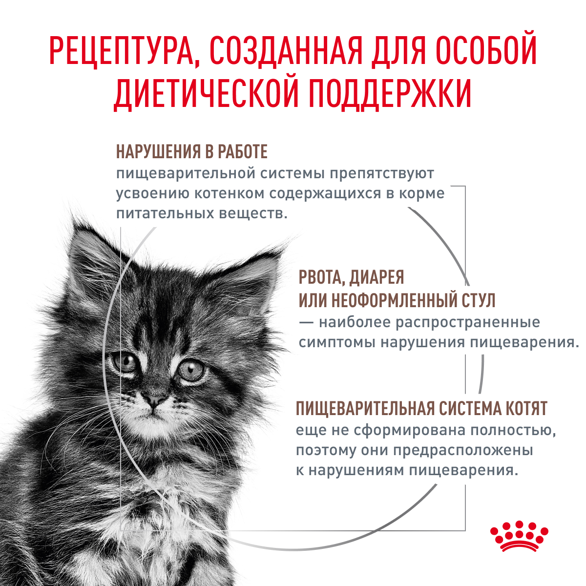 Корм для котят ROYAL CANIN Gastrointestinal kitten при нарушениях пищеварения 350г - фото 2