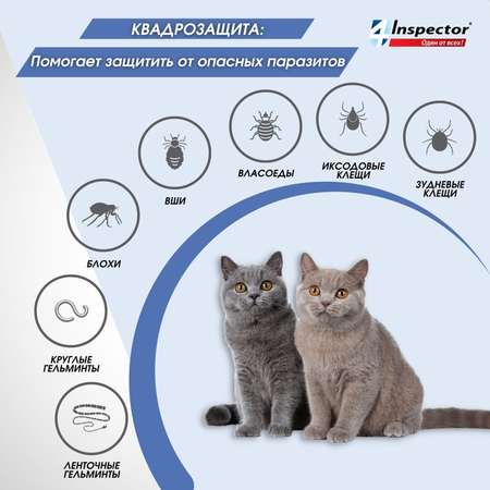 Капли для кошек Inspector Quadro на холку 1-4кг 3пипетки