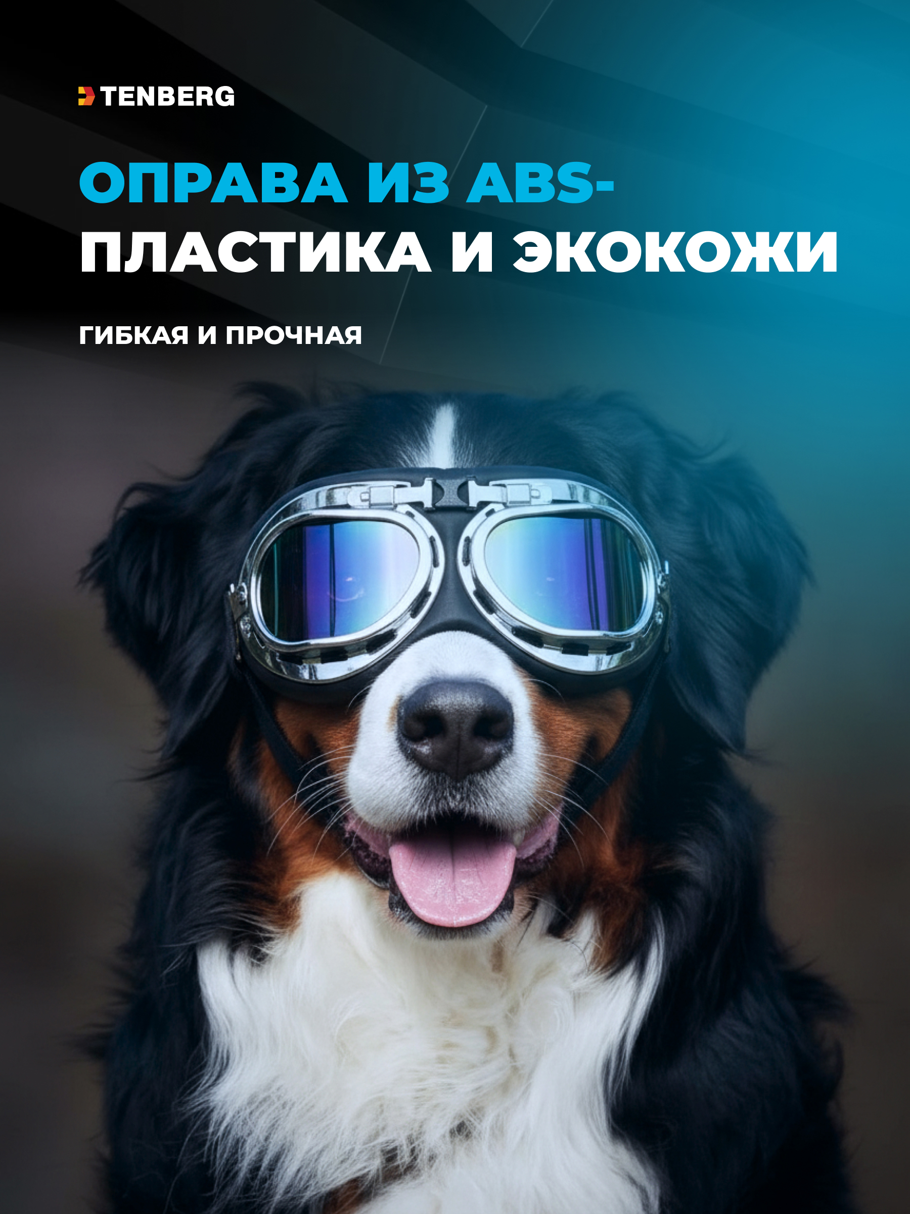 Солнцезащитные очки для собак TENBERG Barkley UV Silver - фото 5