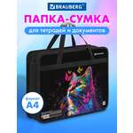 Папка для тетрадей Brauberg А4