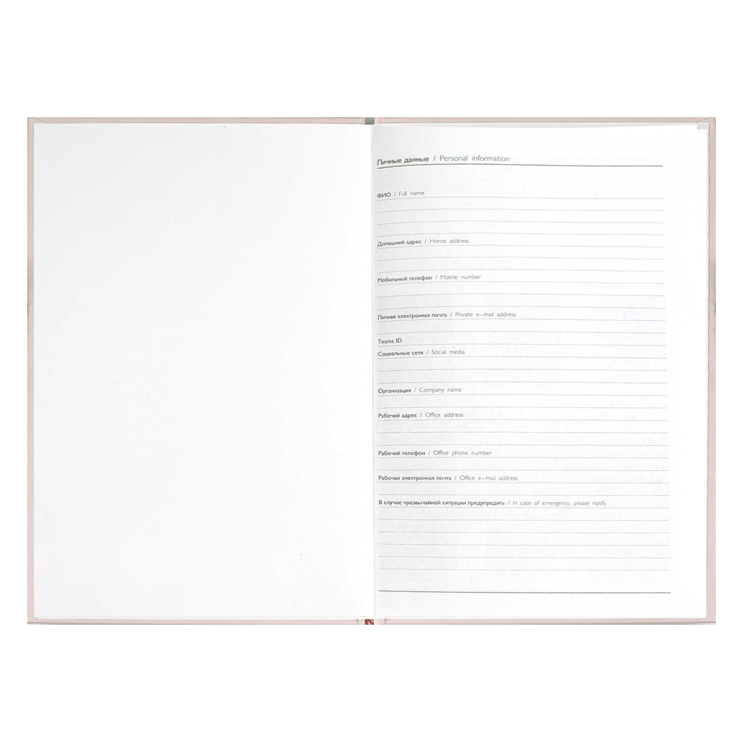 Ежедневник Феникс + 64 лист. - фото 10