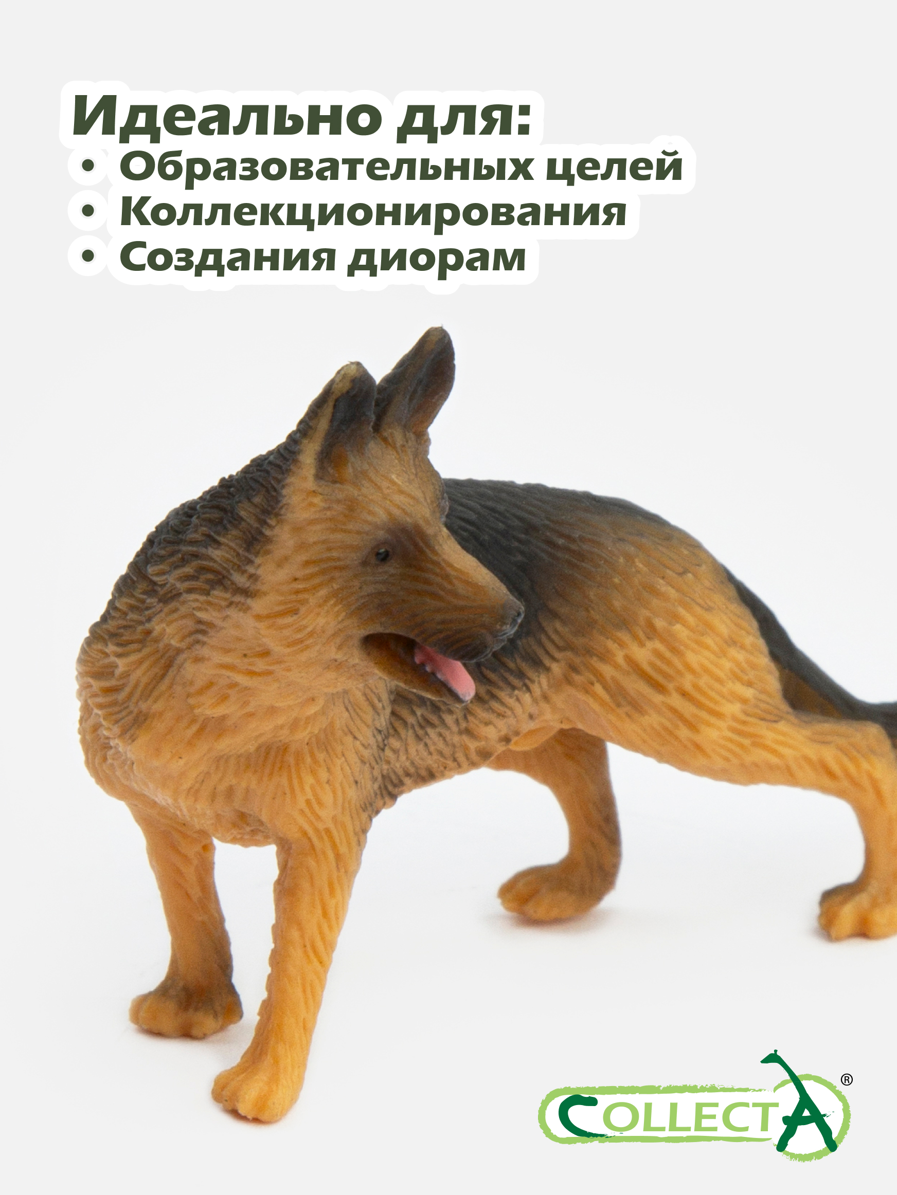 Игровой набор Collecta Кошки и собаки 12шт 4.2см - фото 4