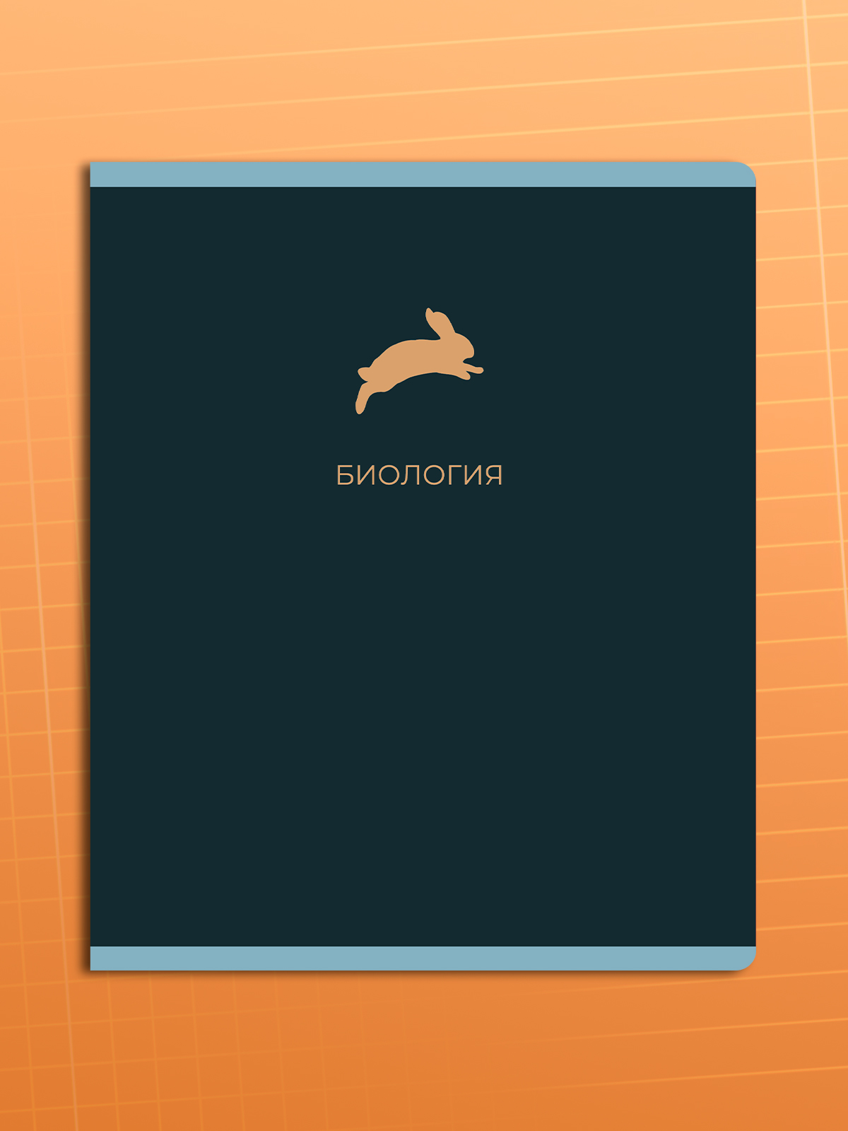 Тетрадь AXLER 48 лист. 12 шт. - фото 11