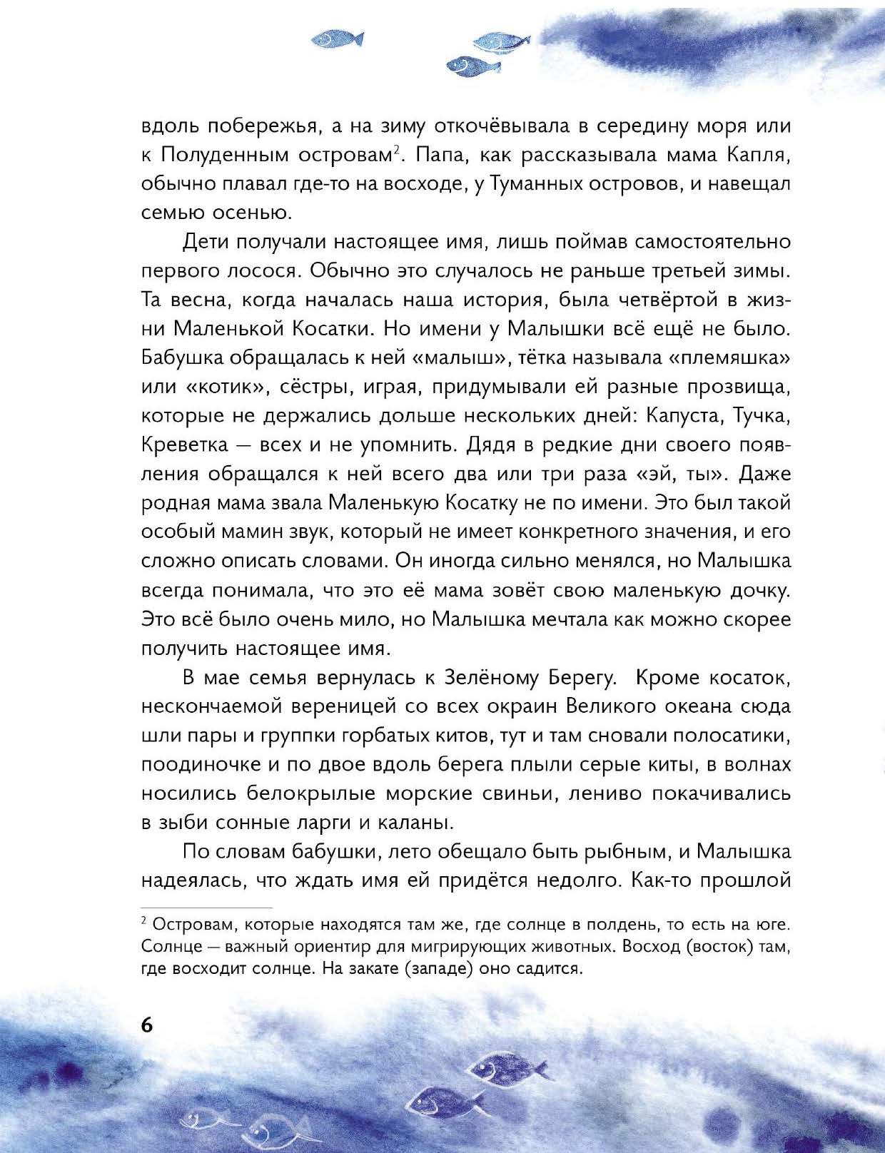 Книга Абраказябра Маленькая косатка - фото 6