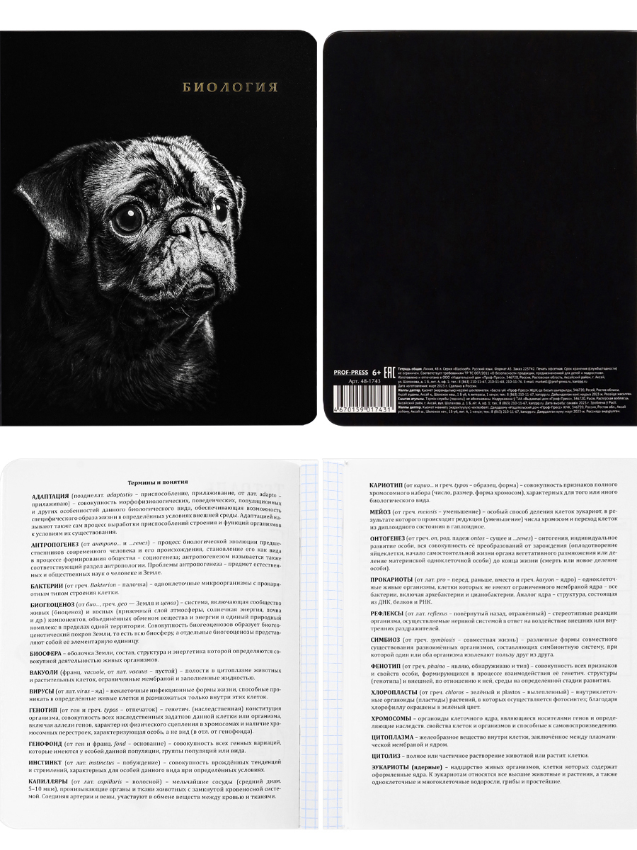 Тетрадь Prof-Press 48 лист. 12 шт. - фото 9