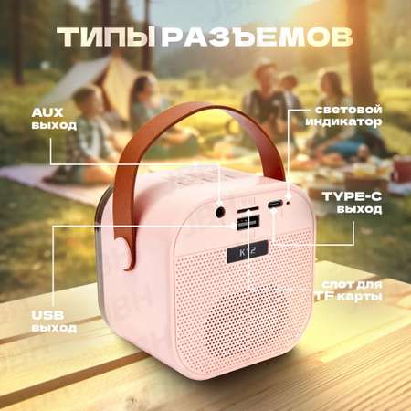 Колонка с 2 микрофонами караоке CASTLELADY портативная беспроводная розовый