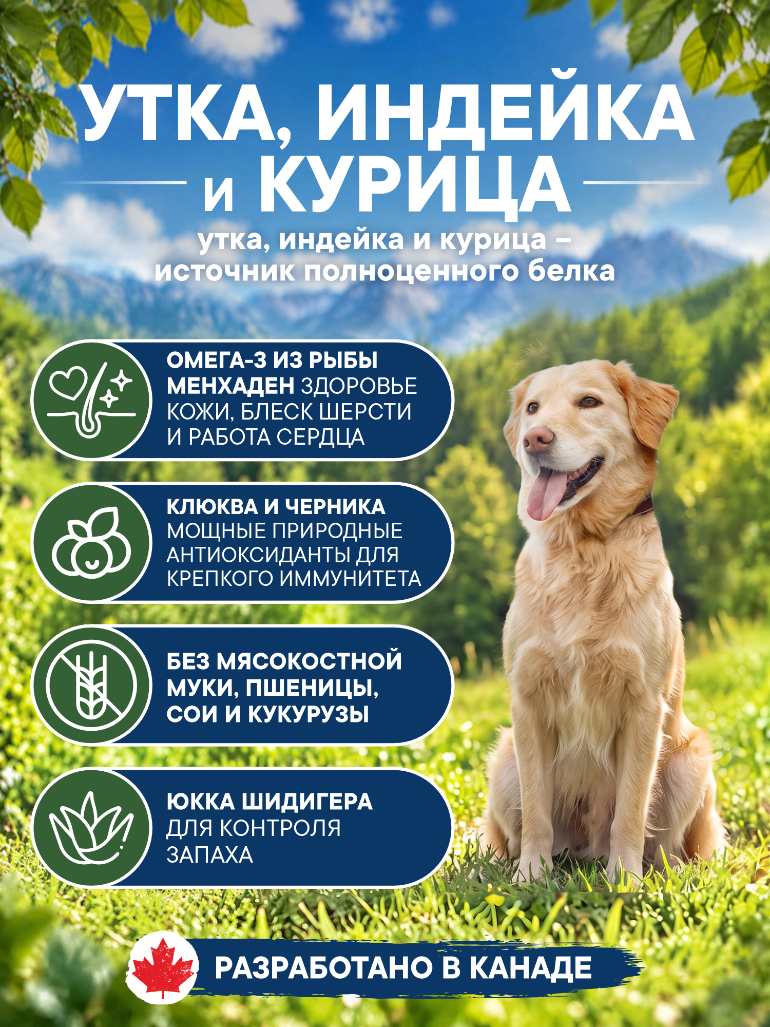 Корм для собак сухой Pronature Holistic Nordic Grain Free беззерновой на индейке и утке 340г - фото 2