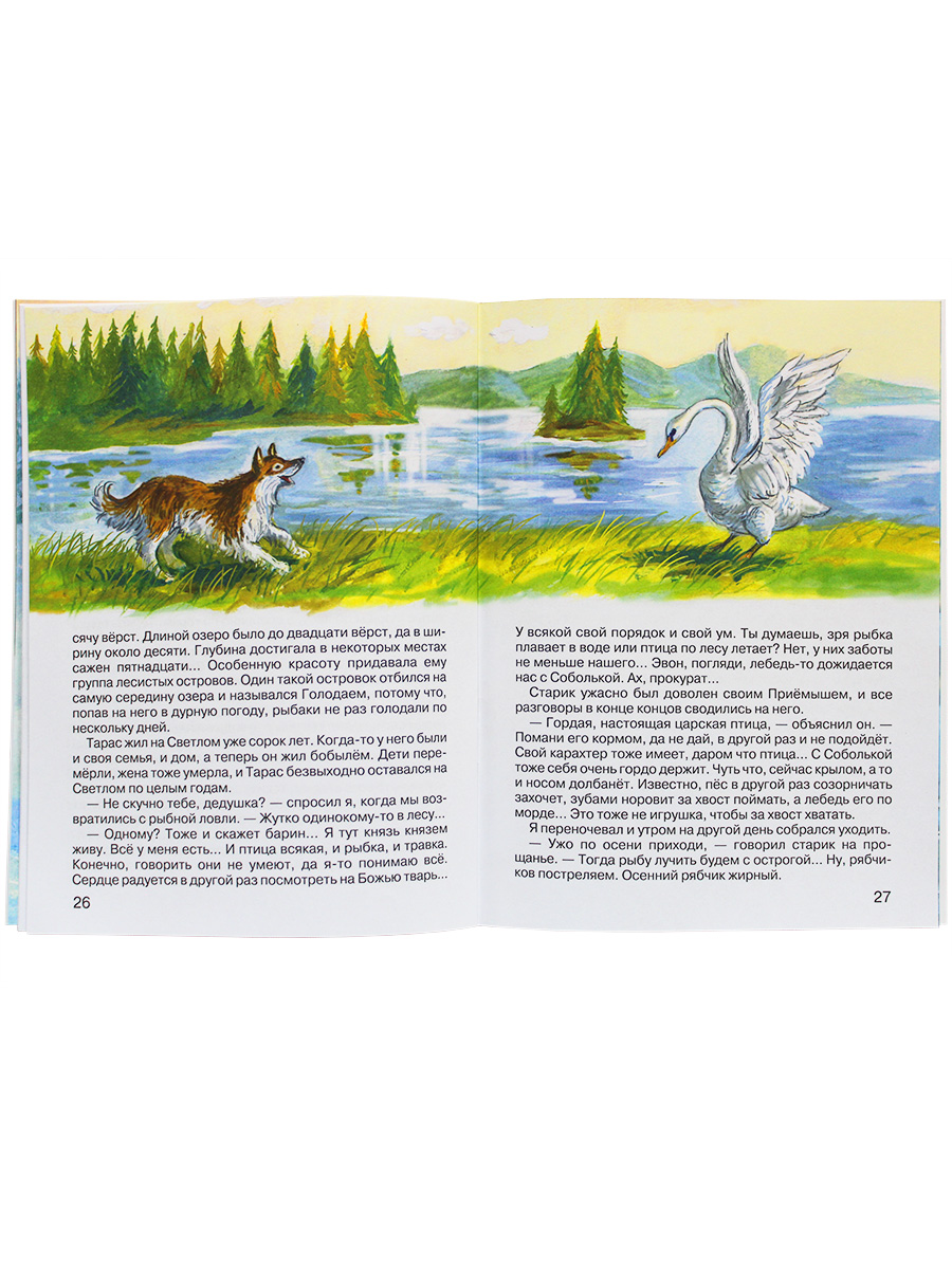 Книга Искатель детская - фото 6