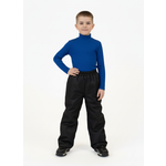 Брюки Arctic kids