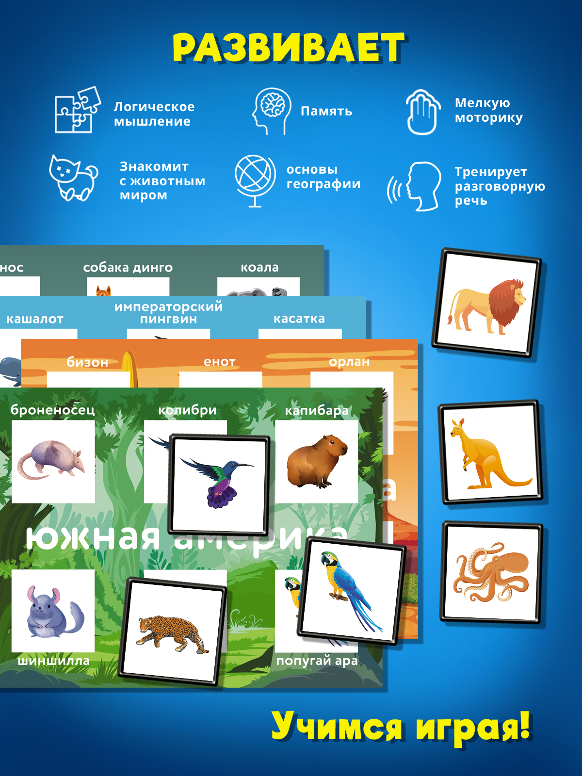 Настольная игра STELLAR Кто где живёт. Континенты - фото 3