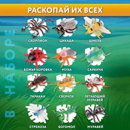 Набор для раскопок Brauberg