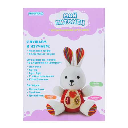 Игрушка Игроленд