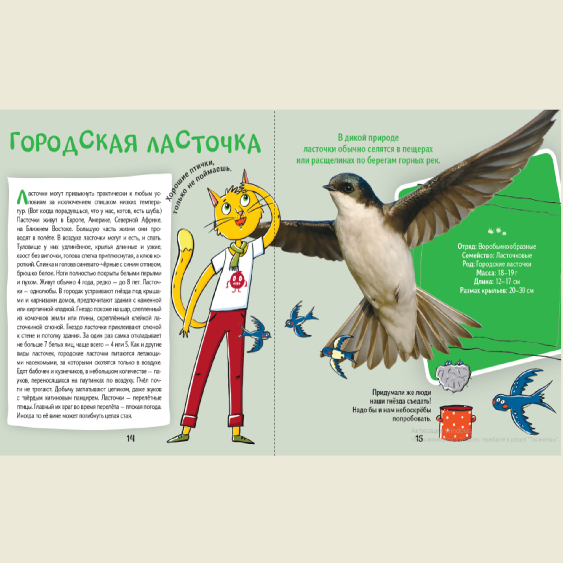Книга АЙАР Кот Брюс и городские птички - фото 3