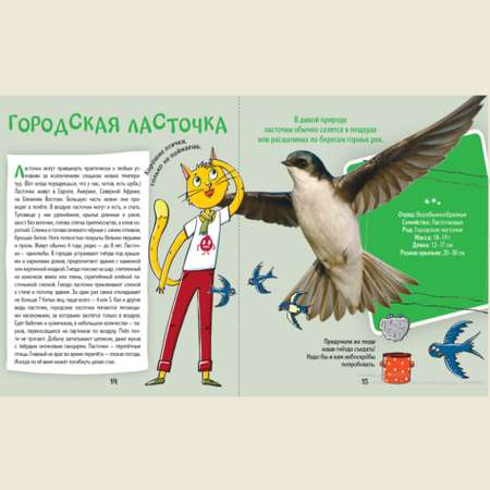 Книга АЙАР Кот Брюс и городские птички
