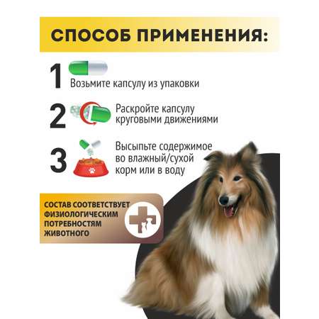Витаминный комплекс ALTAI ANIMAL для собак Блестящая шерсть