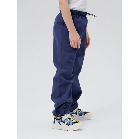 Брюки Lemonwear