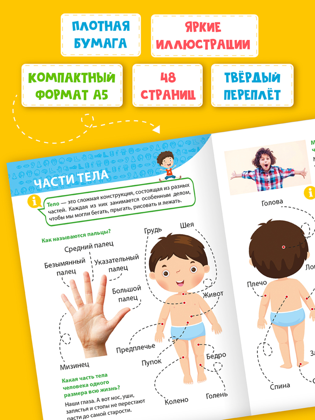 Книга Проф-Пресс Энциклопедия для маленьких почемучек 2 шт. Космос+Тело человека. 96 стр - фото 9