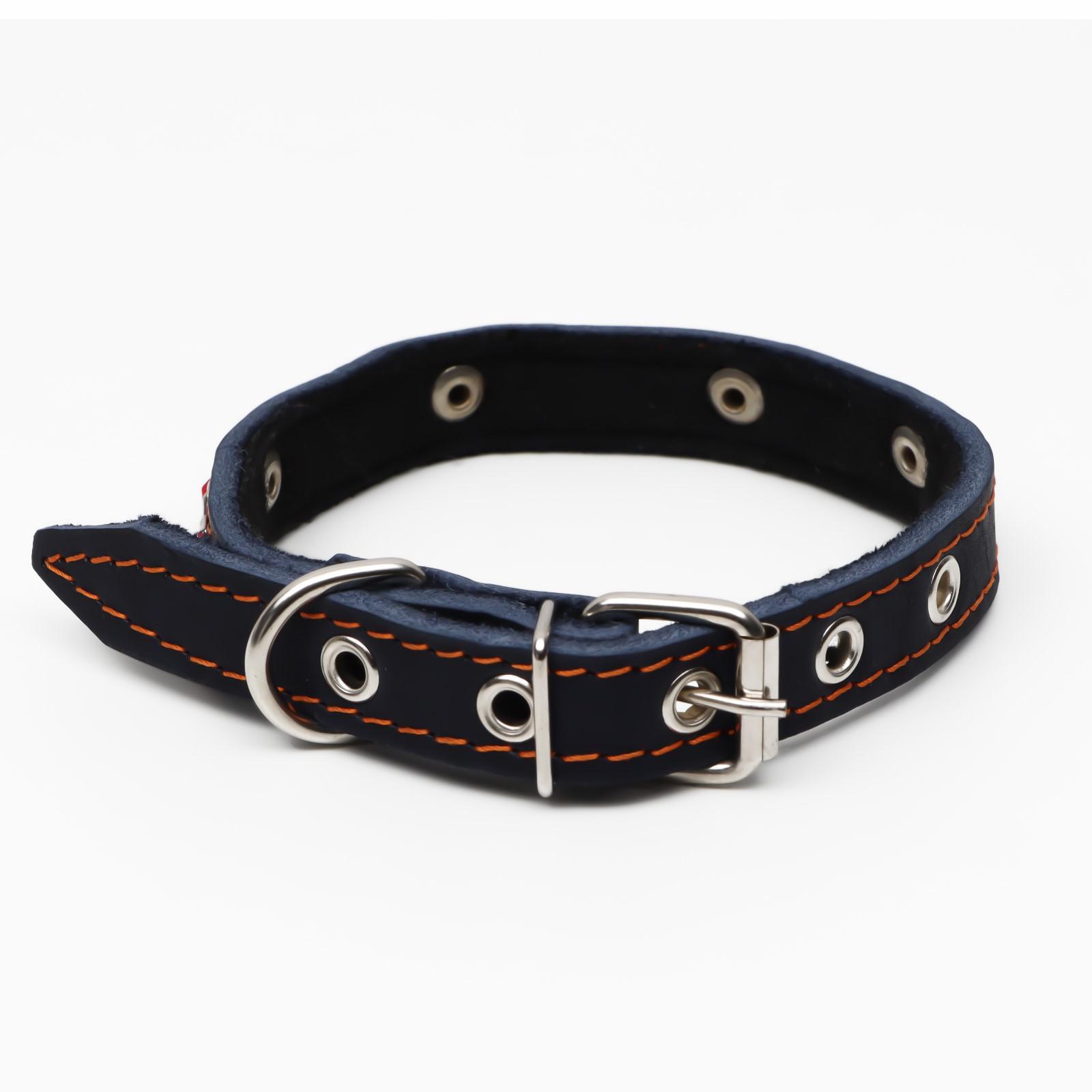Ошейник Пижон кожаный светоотражающий на синтепоне 45х2 см бабочка синий - фото 3