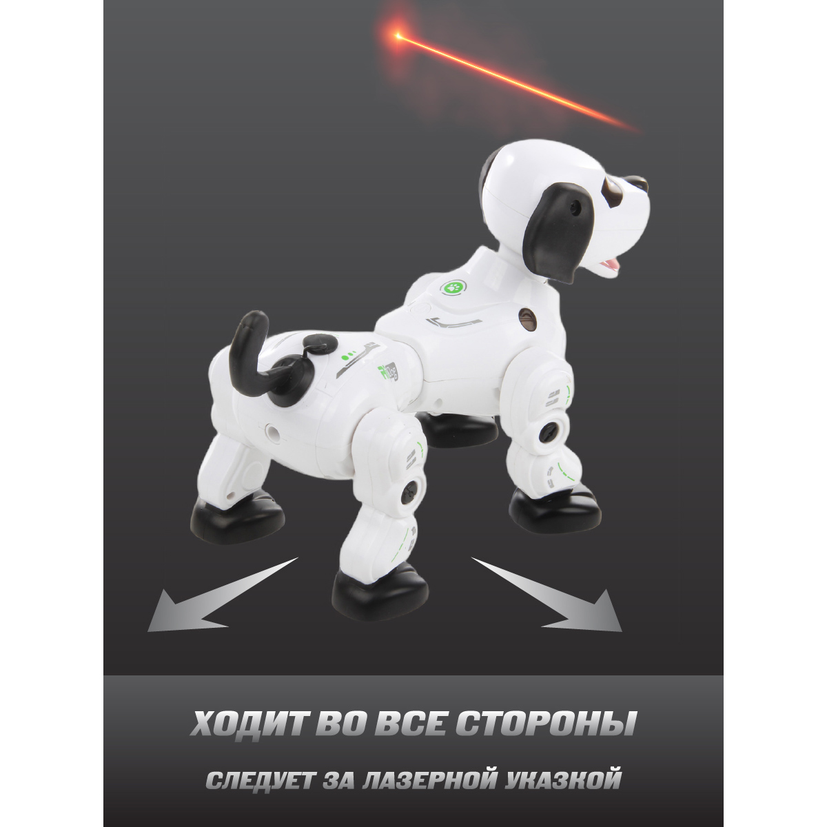 Собака РУ Veld Co - фото 2