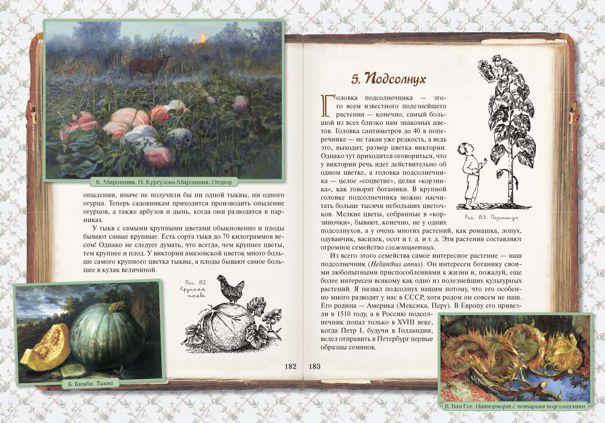 Книга Белый город Занимательная ботаника - фото 8