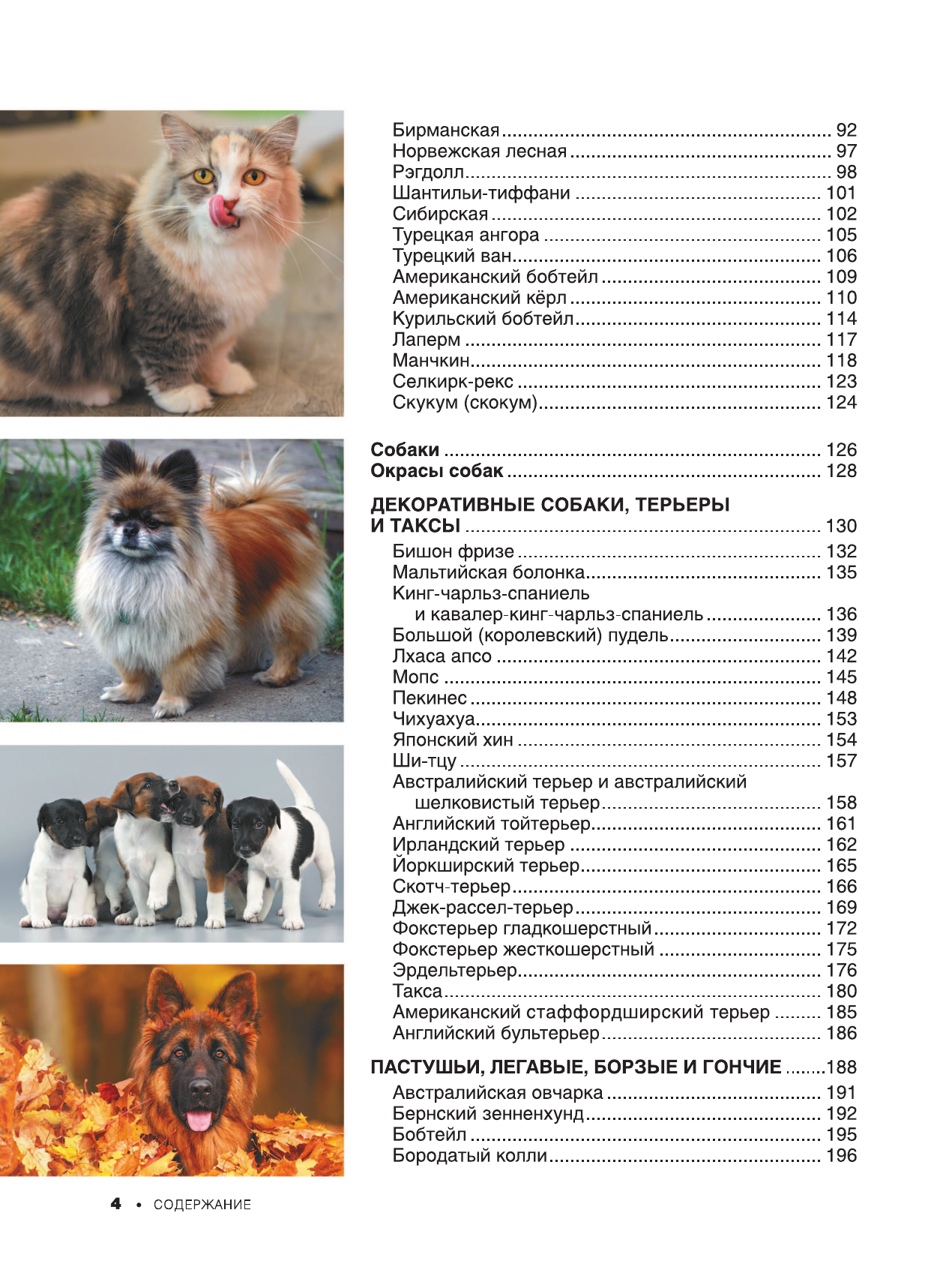 Книга АСТ Большая книга о кошках и собаках 1001 фотография - фото 8