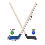 Набор для хоккея Задира клюшка детская 2 шт + шайба + мячик