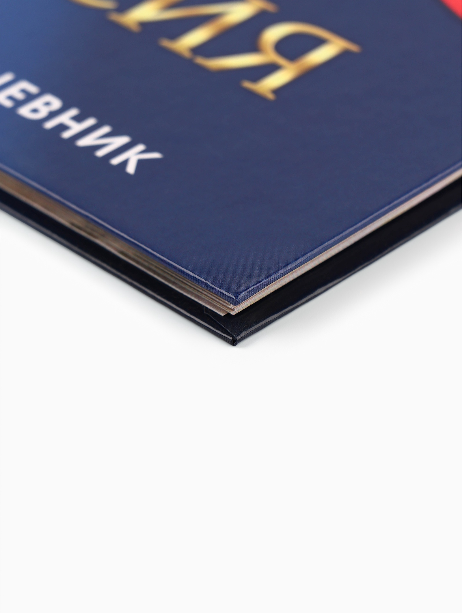 Дневник ArtFox STUDY российского школьника - фото 2