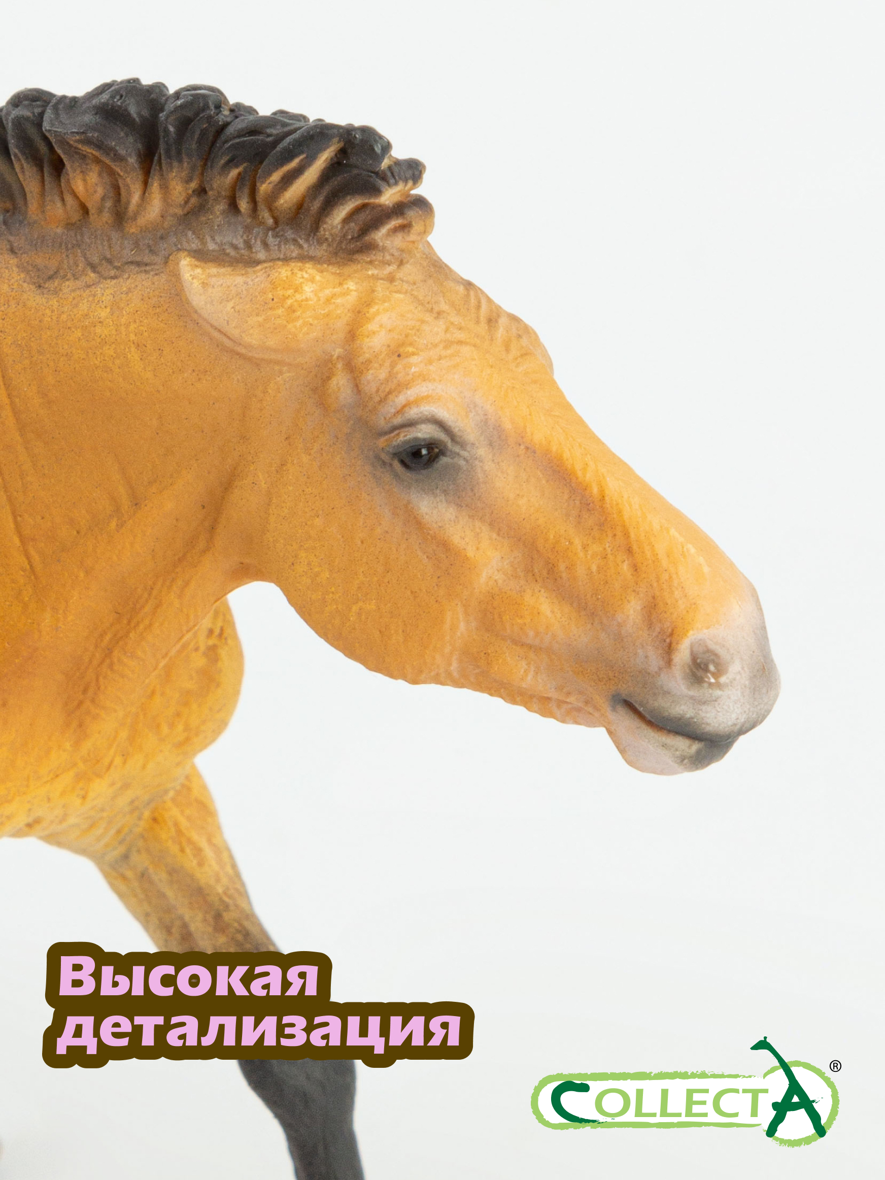 Игровой набор Collecta Жеребец Пржевальского - фото 3