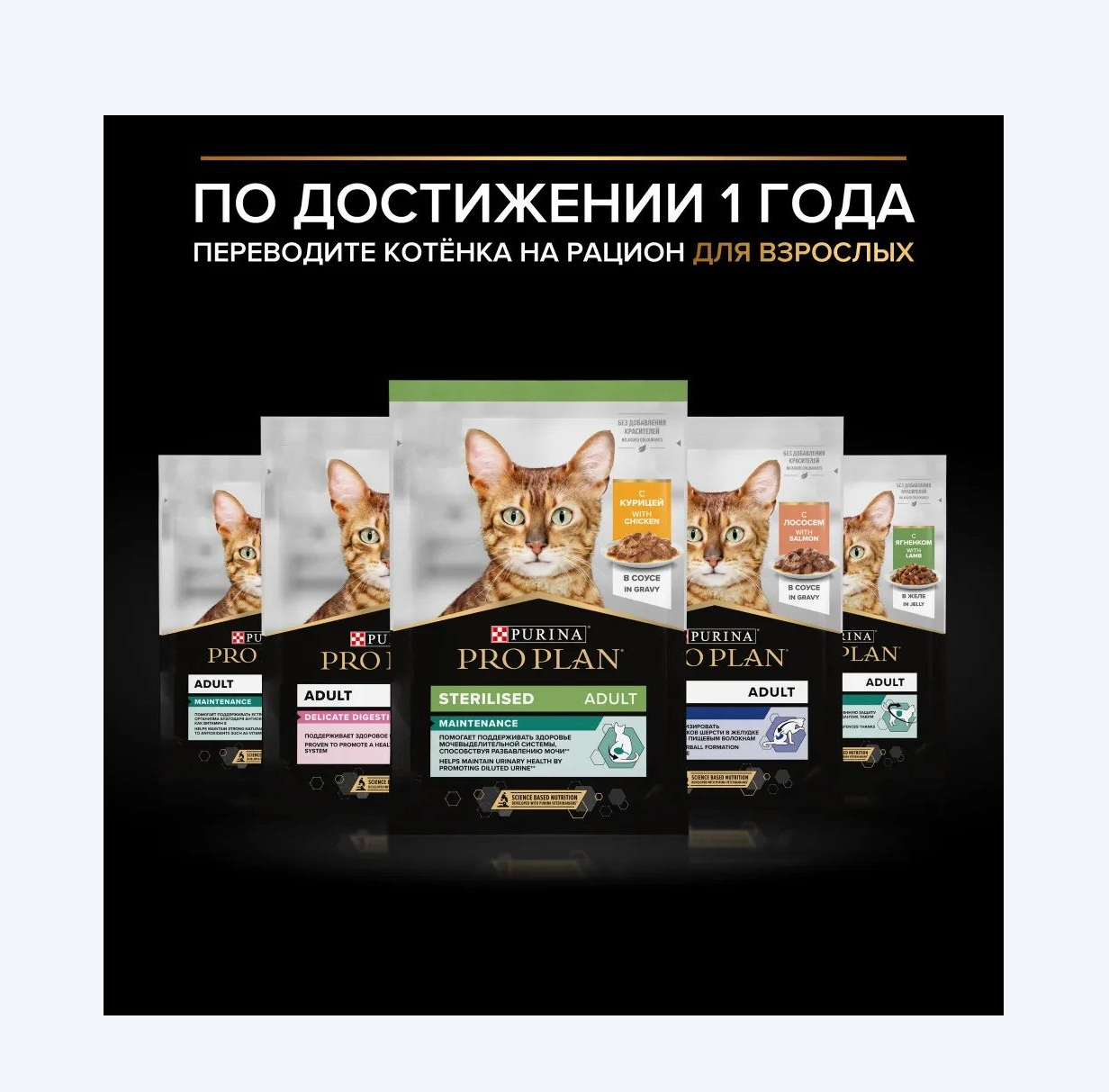 Влажный корм PRO PLAN NutriSavour Kitten 85 - фото 9