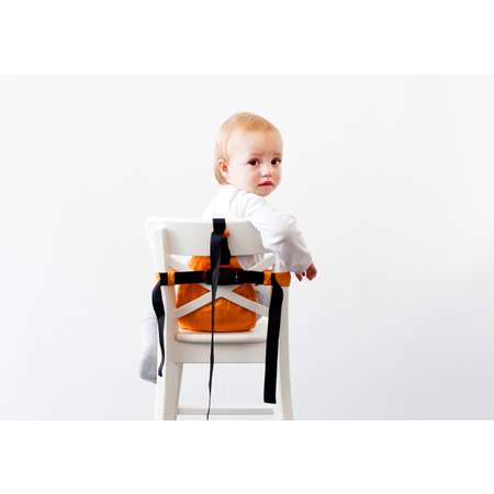 Стульчик для кормления MiniMonkey подвесной