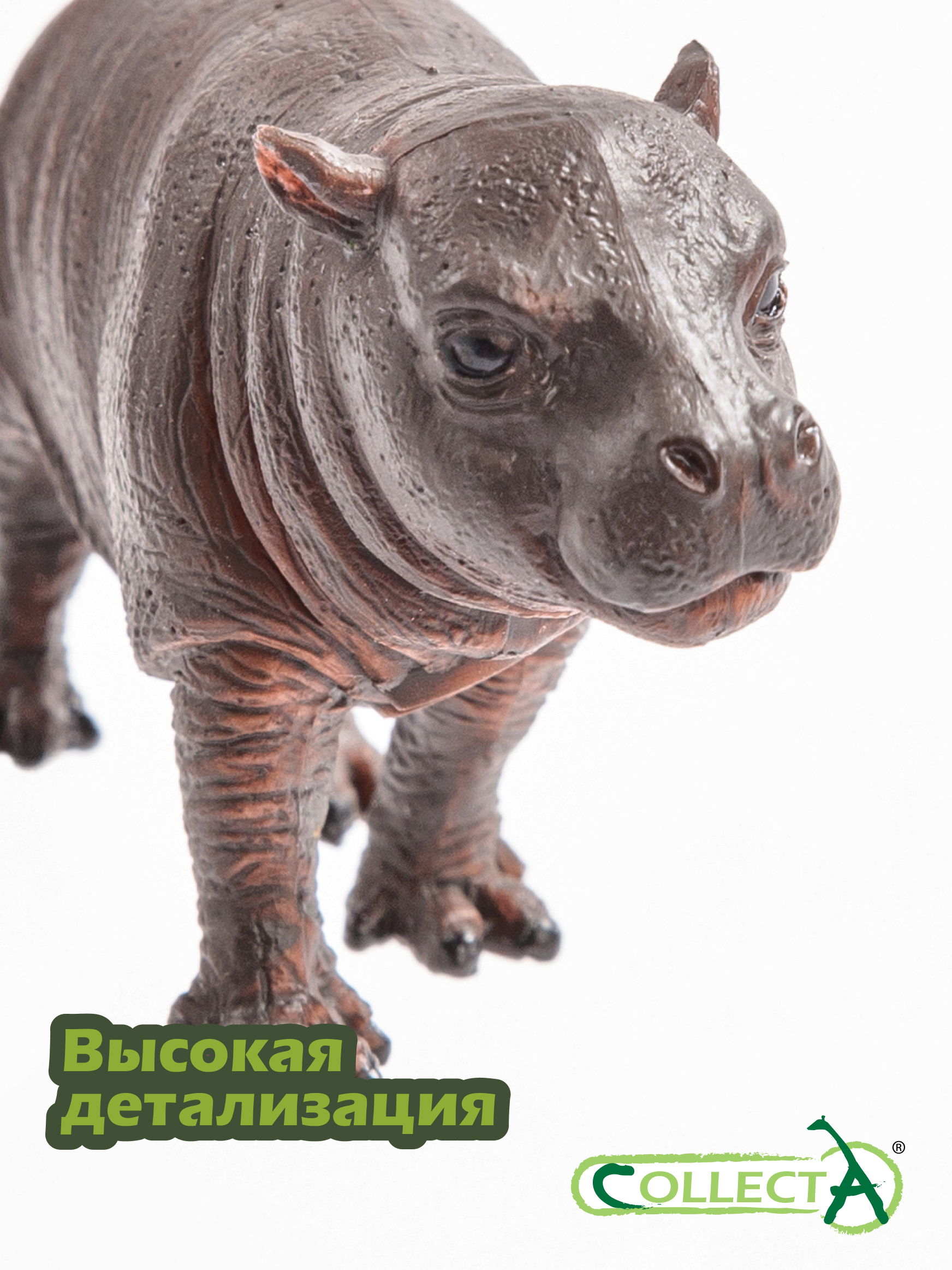 Фигурка Collecta Детёныш карликового бегемота - фото 3