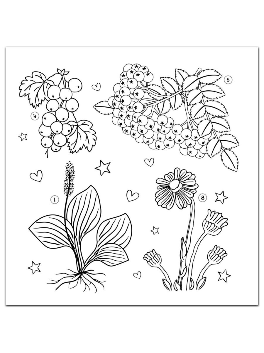 Комплект Учитель Кроссворды - раскраски - фото 8