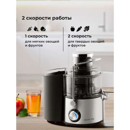 Соковыжималка Galaxy LINE GL0810