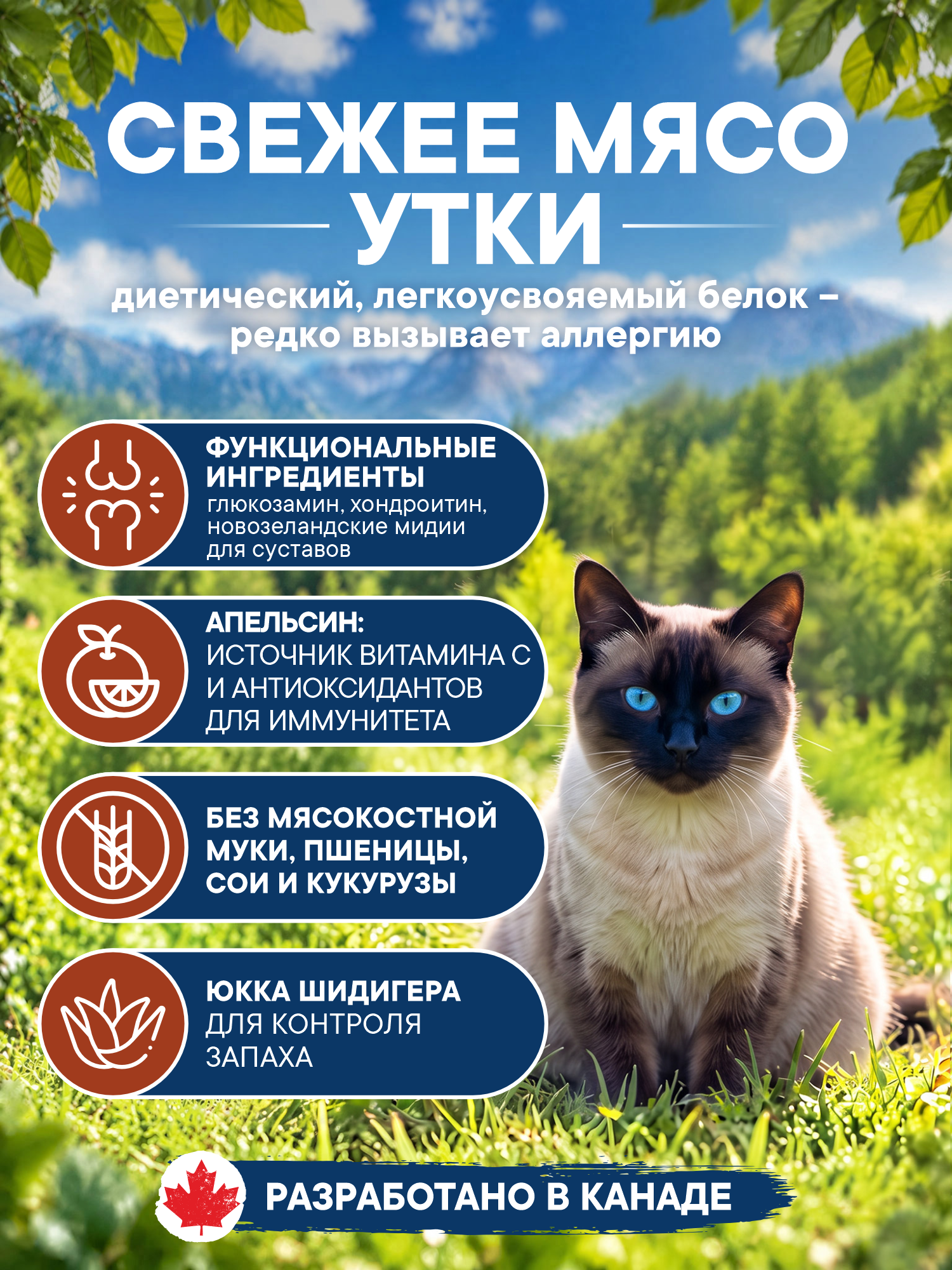 Корм для кошек сухой Pronature Holistic Pan-Asia Grain Free беззерновой на утке с апельсином 340г - фото 2