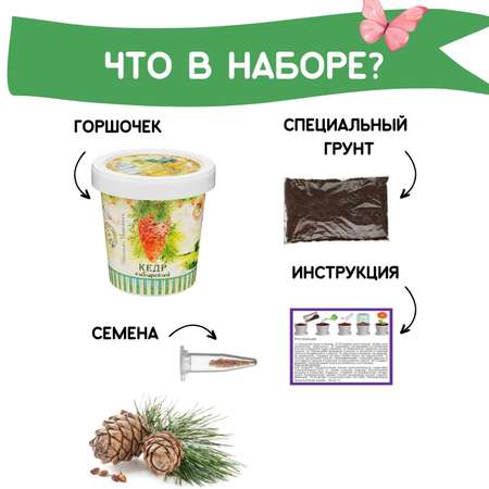 Набор для выращивания Rostok Visa
