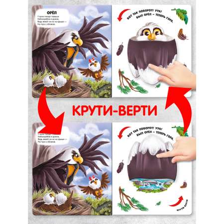 Книга Malamalama с подвижными картинками Превращения в природе