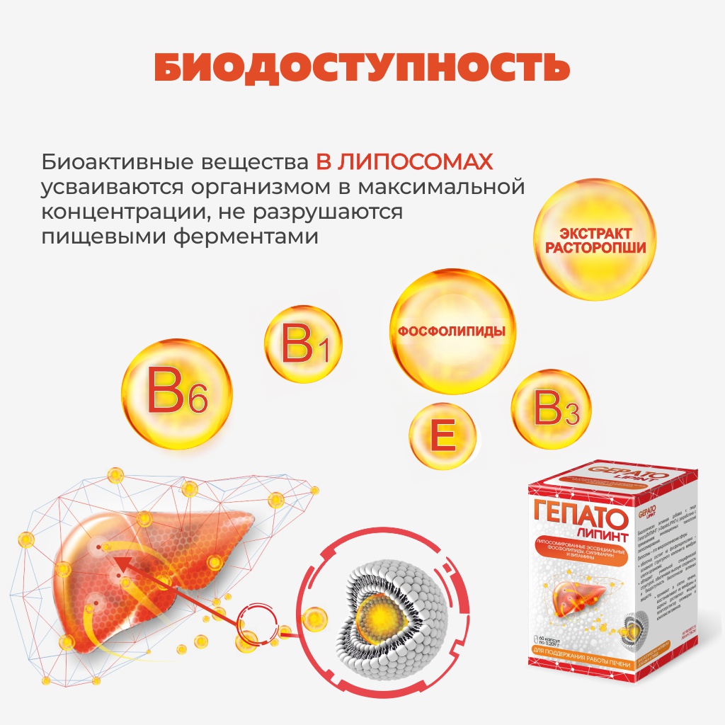 БАД VECTOR-MEDICA Гепатолипинт Для защиты печени, капсулы 209 мг №60 - фото 2