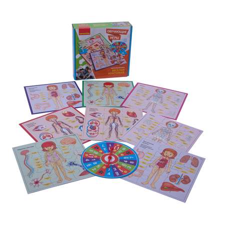 Настольная игра Bondibon Веселая анатомия