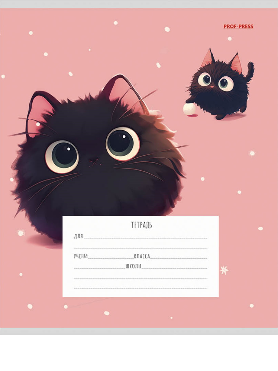Тетрадь Prof-Press клетка 12 лист. 20 шт. - фото 7