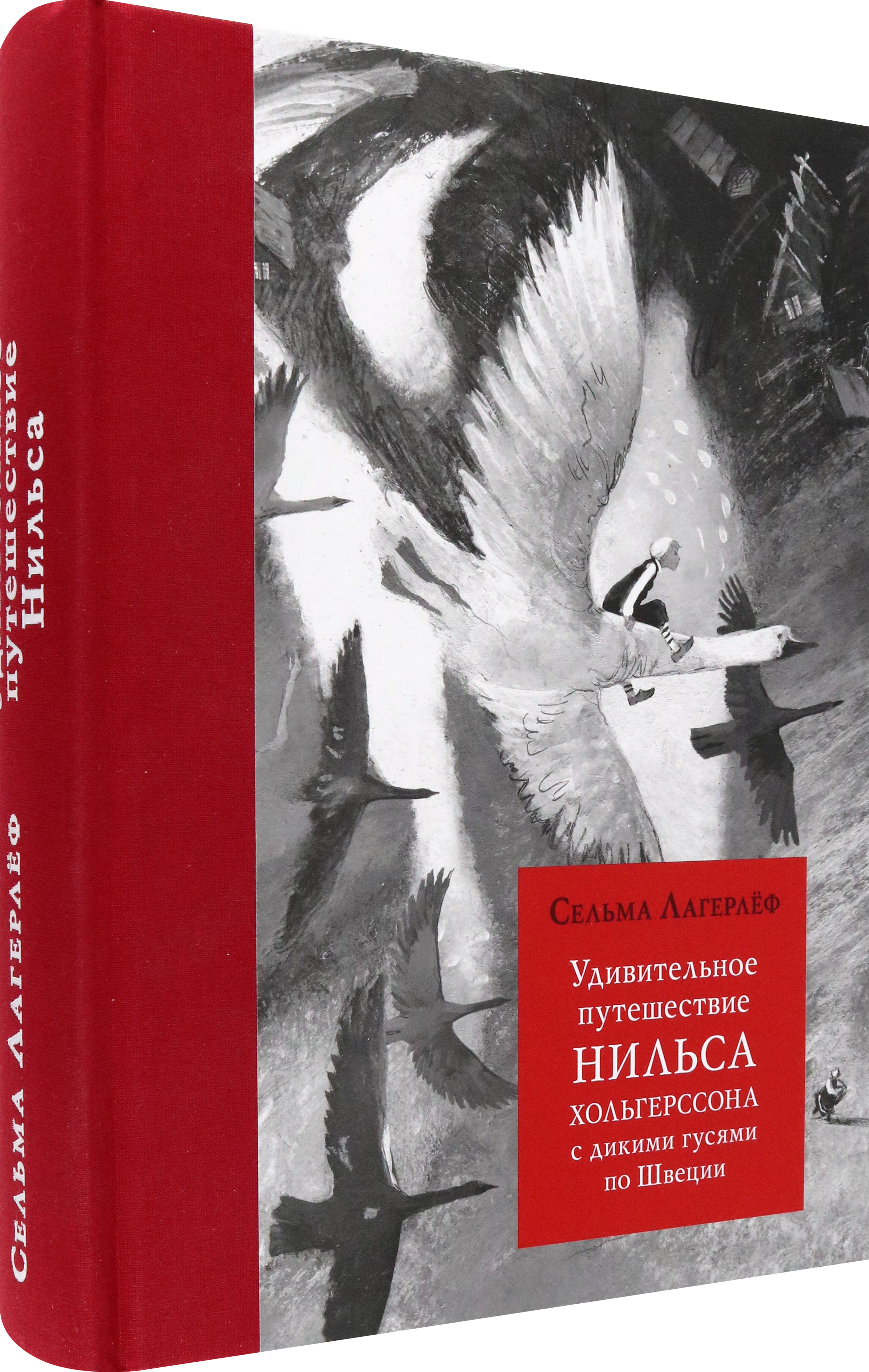 Книга Волчок Удивительное путешествие Нильса Хольгерссона с дикими гусями - фото 2