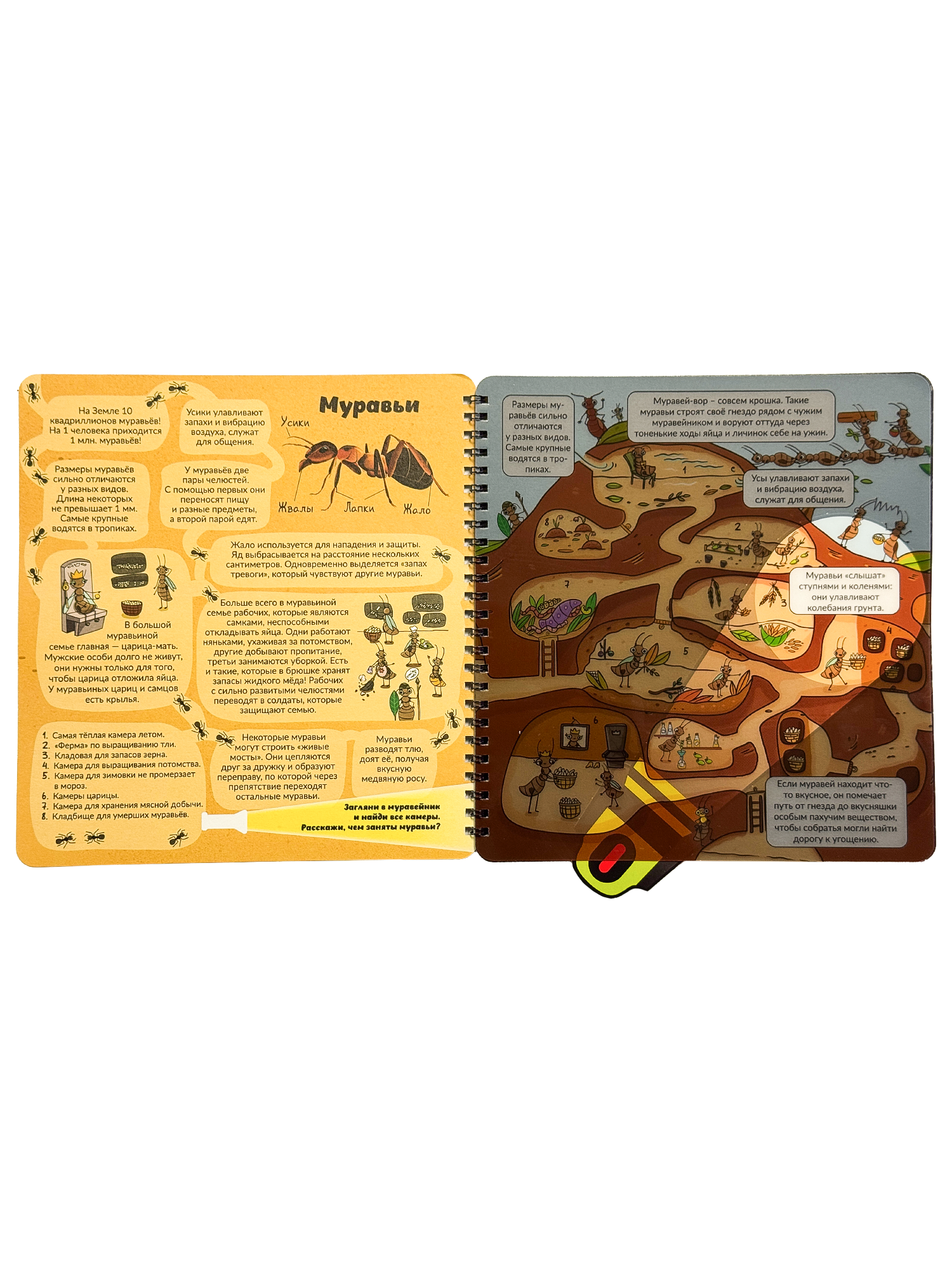 Книга с фонариком БимБиМон Мир насекомых - фото 7