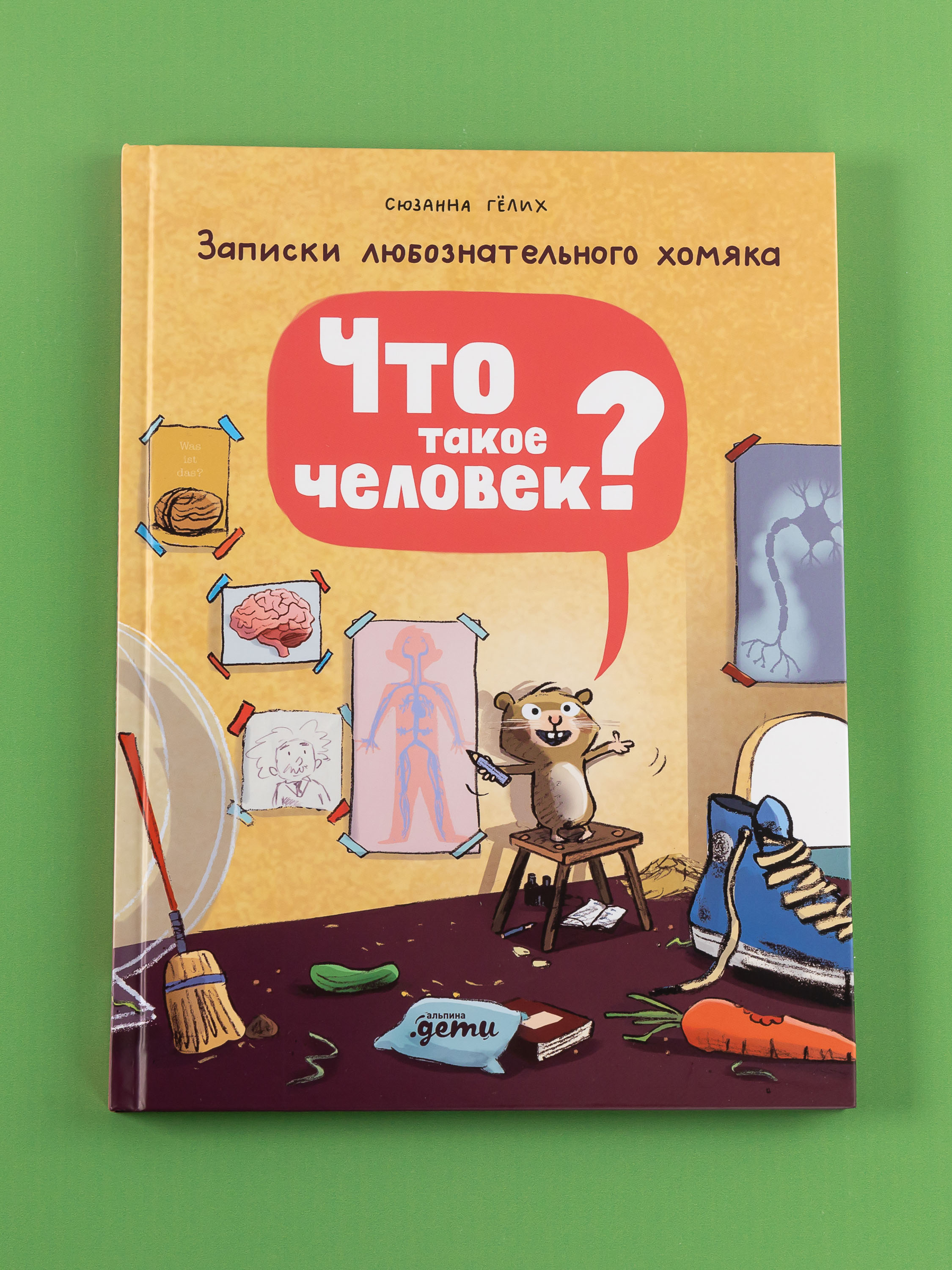 Книга Альпина. Дети Что такое человек? Записки любознательного хомяка - фото 10
