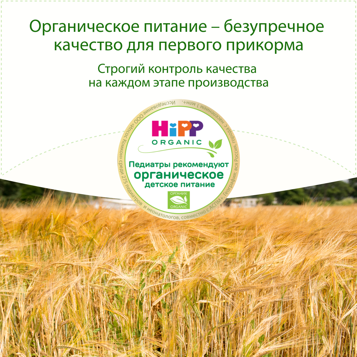Каша безмолочная Hipp органическая зерновая рисовая 200г с 4месяцев - фото 3