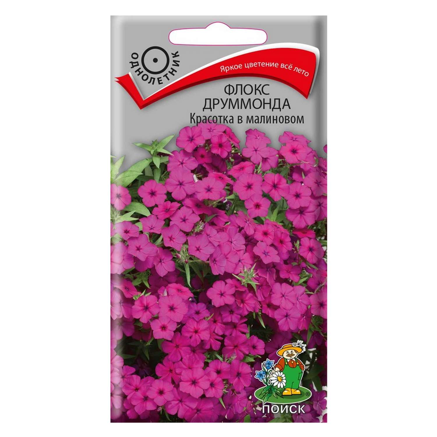 Флокс друммонда . Красотка в малиновом 0.1г - фото 1