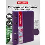 Тетрадь со сменным блоком Brauberg клетка 120 лист.